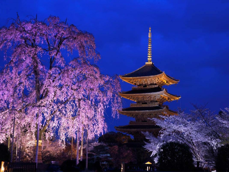 真言宗総本山 東寺