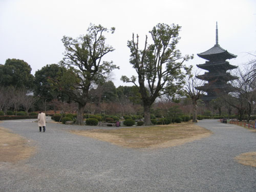 移植されるまで
