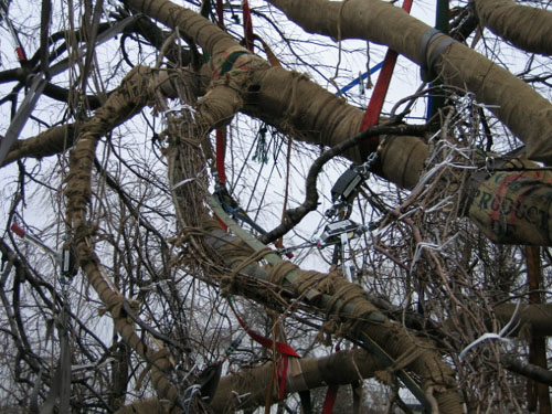 移植にあたって